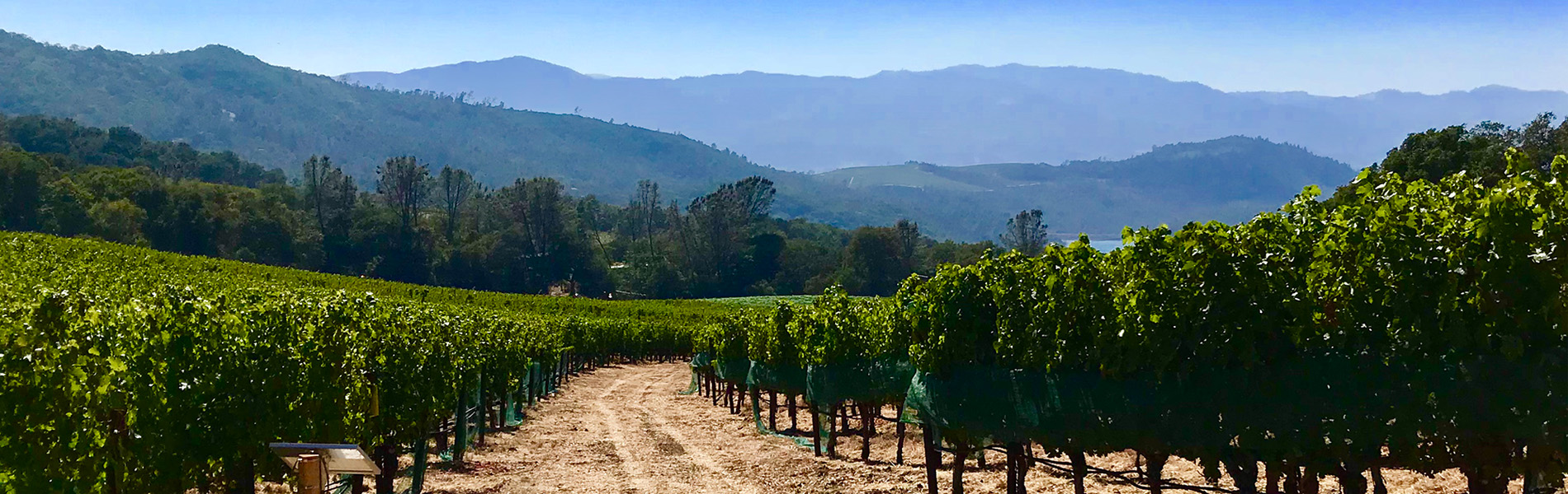 Robert Parker: The Wine Advocate